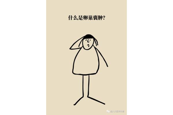大肚腩是什么意思