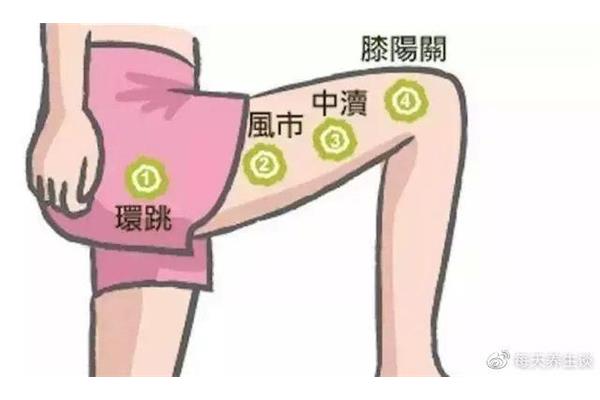 大腿胆经在哪里